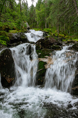 Soft waterfall in a green forest