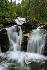 Fototapeta na wymiar Soft waterfall in a green forest