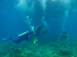 Fototapeta na wymiar scuba diver in the sea