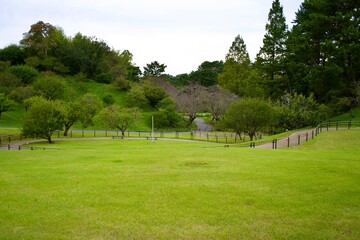 Fototapeta na wymiar The view of grass field at garden in Shizuoka.