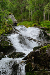 Naklejka na ściany i meble Branch over a waterfall in Norway