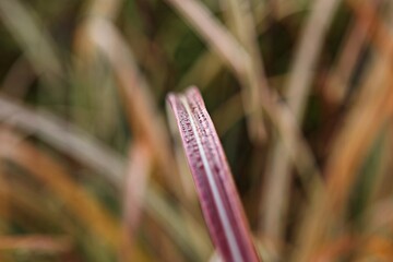 한국가을공우ㅏㄴ의풍경입니다