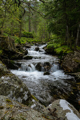 Naklejka na ściany i meble Stream of a creek with cascades