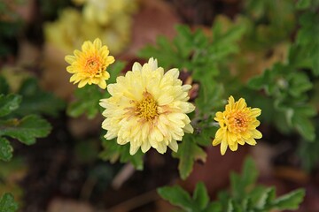 한국가을공우ㅏㄴ의풍경입니다