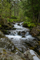 Naklejka na ściany i meble Stream of a creek with cascades