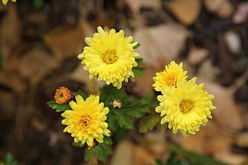 한국가을공우ㅏㄴ의풍경입니다