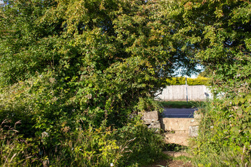Fototapeta na wymiar Hole in the hedge where a public footpath goes through with a stone stile 