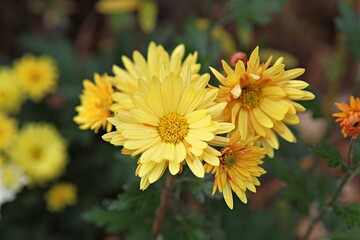 한국가을공우ㅏㄴ의풍경입니다