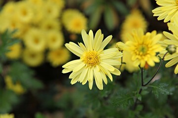 한국가을공우ㅏㄴ의풍경입니다