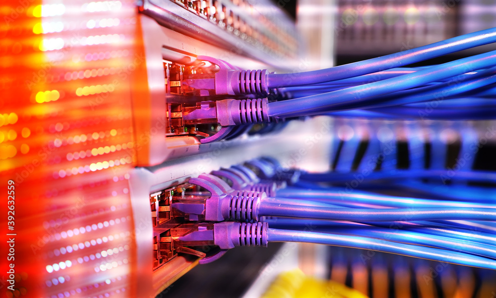 Wall mural server rack with blue and red internet patch cord cables connected to black patch panel in data serv