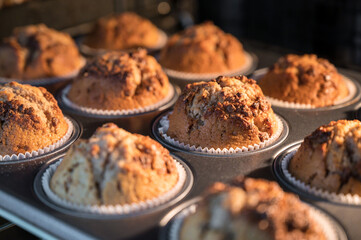 Leckere Muffins mit Schokostückchen gehen im Backofen auf