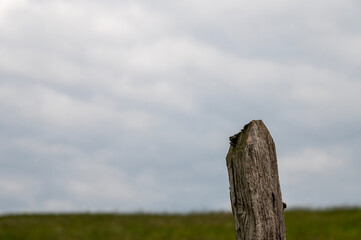 Grau brauner hölzerner Zaun Begrenzungspfosten am Rand eines Feldes mit blauem Himmel im Hintergrund