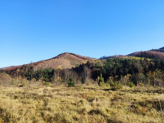 autumn in the mountains