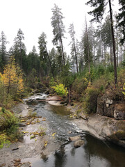 fall colors with mountain stream  creek and misy