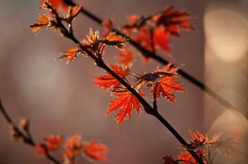 Autumn Time © Subiektywnie