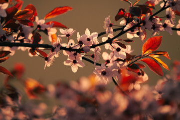 Spring is Coming © Subiektywnie