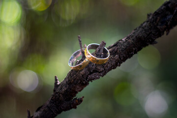 wedding ring on a tree