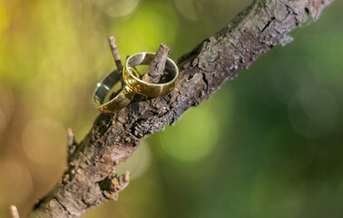 wedding ring on a tree