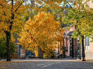 Entrance gate to waterfront park Strömparken during fall in Norrköping. Norrköping is a historic industrial town in Sweden