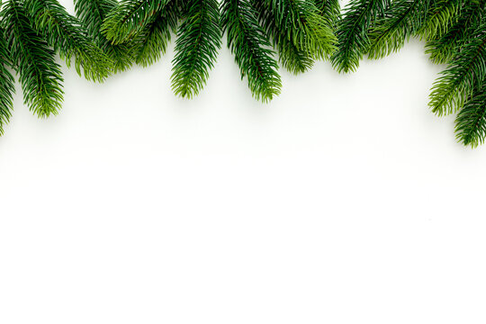 Spruce branch on christmas or new year on white background .