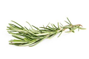 Fototapeta premium Rosemary isolated on white background