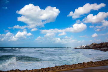 The cold and windy day