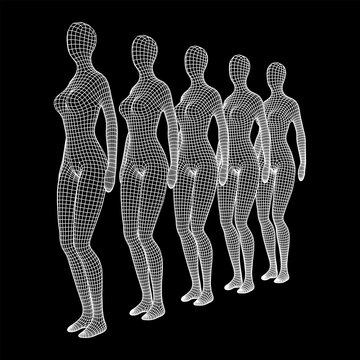 Female or woman queue. Body biology medicine education concept.