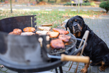 Und möchte was vom Grillfleisch ab haben