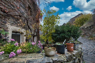 garden with flowers and stone