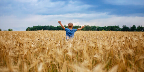 Boy running in wheat field, live life to the fullest, freedom, childhood and happiness