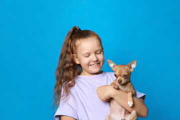 Little girl with her Chihuahua dog on light blue background. Childhood pet