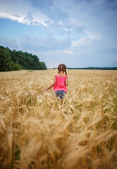 Naklejka na ściany i meble Girl running in wheat field, live life to the fullest, freedom, childhood and happiness