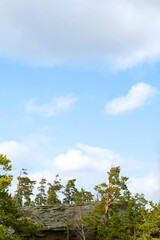 landscape
