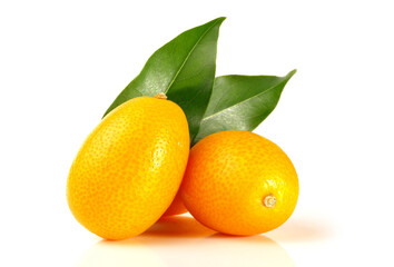Kumquat Fruits on white Background Isolated