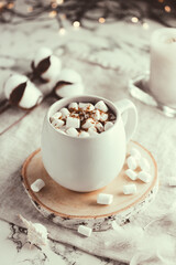 Fototapeta na wymiar Christmas Cup of cocoa with marshmallows.