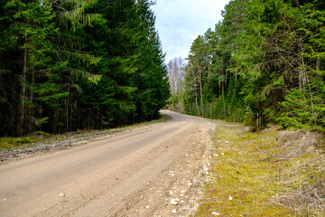 countryside dirt road gravel in perspective in summer