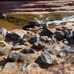 rocks