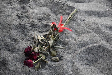 Mazzo di rose  abbandonato su una spiaggia toscana