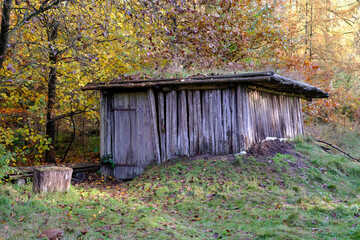 Alte Holzhütte im herbstlichen Wald