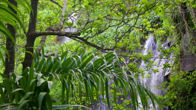 Waterfall of Anse des Cascades on R&eacute;union Island