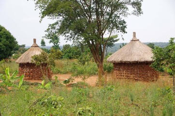 Traditional huts between Mwanza and Biharamulo in Tanzania