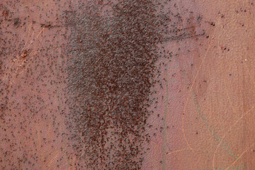 Metallplatte mir Rost