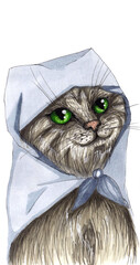 Illustration funny grey cat