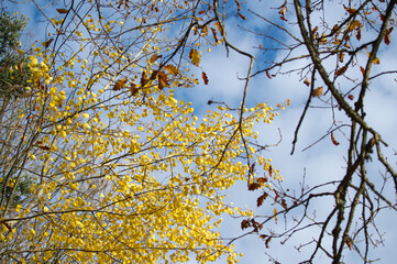 Herbst!