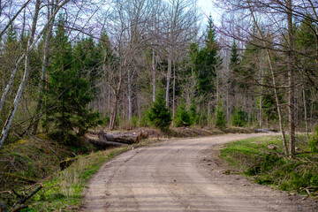 Fototapeta premium countryside dirt road gravel in perspective in summer