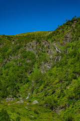 Mountainside with a green forest an waterfall