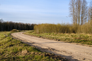 Fototapeta na wymiar countryside dirt road gravel in perspective in summer