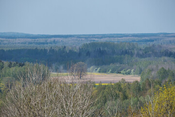 endless forests and fields in hot summer