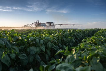 Deurstickers Tractor spraying pesticides on vegetable field with sprayer © Vesna