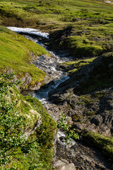 River in a green valley